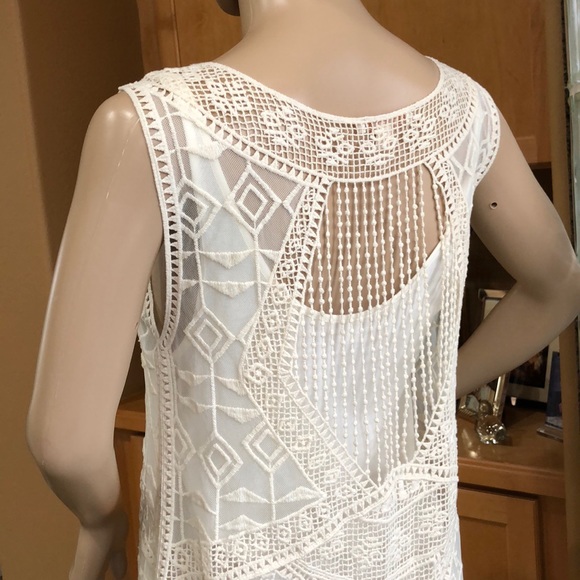 Ella Moss Cream Color embroidered sheer Dress - Picture 3 of 10